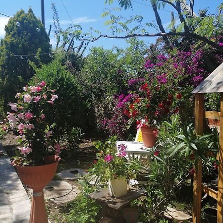 Secret Garden Villa Giovinazzo Exterior photo